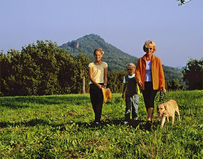 Zum Ochsen Hotel Hauenstein Bagian luar foto