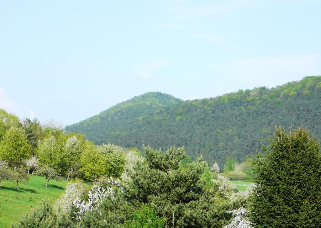 Zum Ochsen Hotel Hauenstein Bagian luar foto